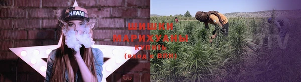 мяу мяу мука Осинники