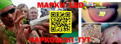 тгк Заводоуковск