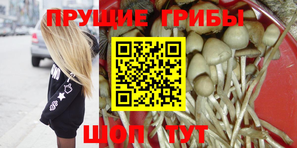Галлюциногенные грибы GOLDEN TEACHER  Вход с VPN  дарнет шоп  Псилоцибиновые грибы Cubensis  Отрадный 